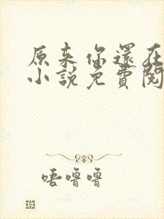 原来你还在这里小说免费阅读