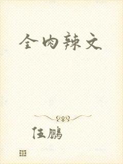 全肉辣文