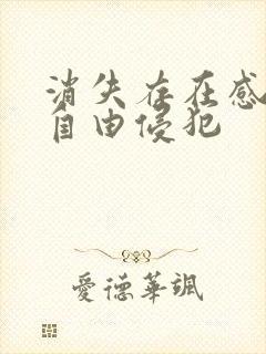 消失存在感消失自由侵犯