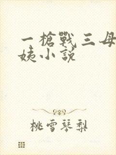 一枪战三母2雪姨小说