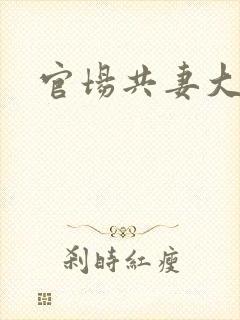 官场共妻大交换