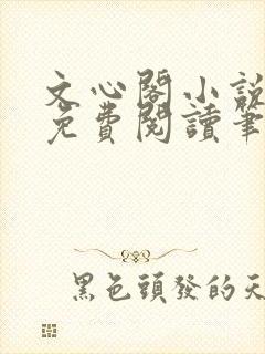 文心阁小说全文免费阅读笔趣阁