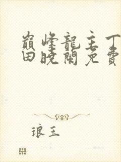 巅峰龙主丁长顺田晓兰免费阅读