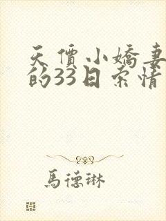 天价小娇妻总裁的33日索情