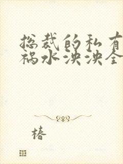 总裁的私有宝贝祸水泱泱全文阅读