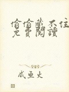 偷偷藏不住小说免费阅读