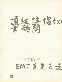 顶级伴侣txt笔趣阁