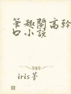 笔趣阁高干文入口小说