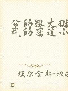 公的粗大挺进了我的密道小说