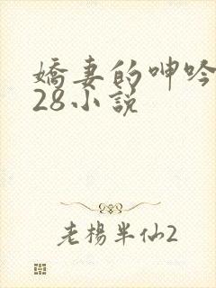 娇妻的呻吟1—28小说