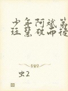 少年阿斌第二部珏慧破而后立