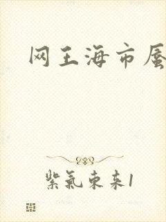 网王海市蜃楼