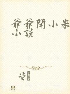 爷爷开小米的包小说