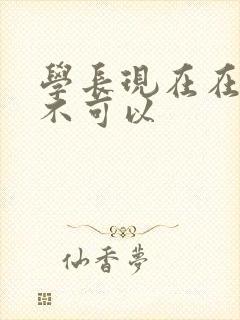 学长现在在上课不可以