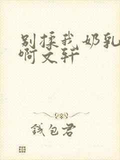 别揉我奶乳嗯～啊文轩