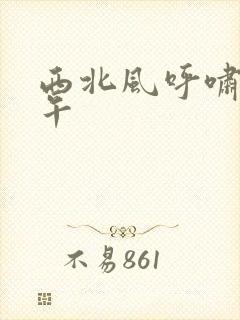 西北风呼啸的中午