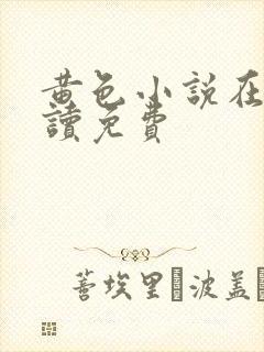 黄色小说在线阅读免费