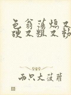 色翁荡熄又大又硬又粗又动态图