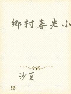 乡村春光小说