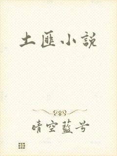 土匪小说