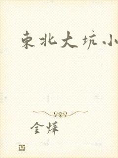 东北大坑小说