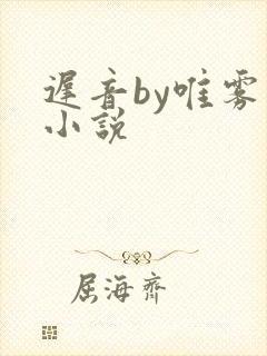 迟音by唯雾的小说