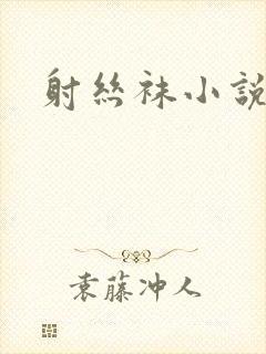射丝袜小说