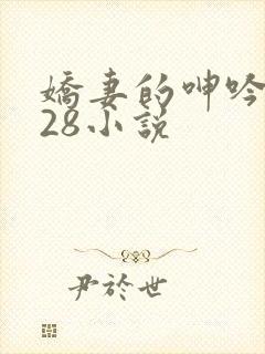 娇妻的呻吟1—28小说