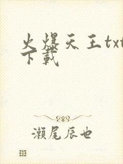 火爆天王txt下载