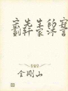 宋先生的宠妻计划轩家沐言