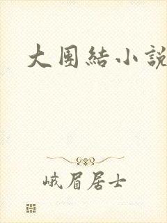 大团结小说阅读