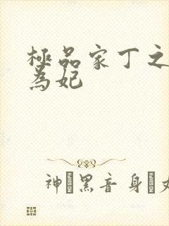 极品家丁之册母为妃