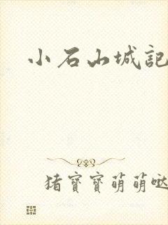 小石山城记