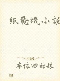 纸飞机小说