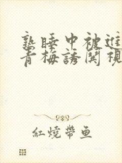 熟睡中被进了H青梅诱哄视频