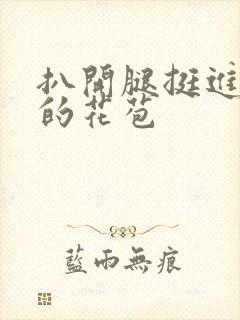 扒开腿挺进湿润的花苞