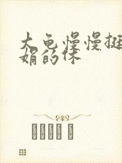 大龟慢慢挺进张娟的休