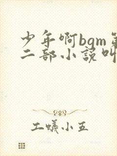 少年啊bgm第二部小说叫什么