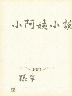 小阿姨小说