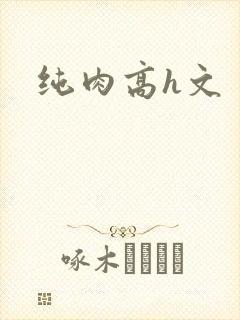 纯肉高h文