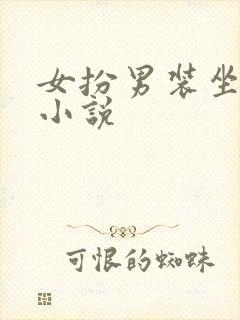 女扮男装坐江山小说