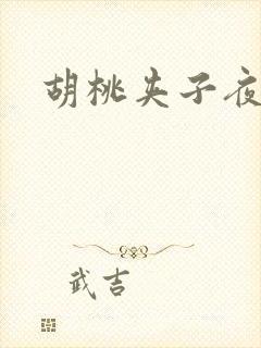 胡桃夹子夜未眠