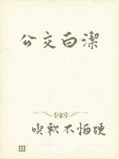 公交白洁
