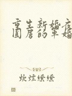 重生新婚夜正在圆房的军婚