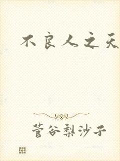 不良人之天罡传