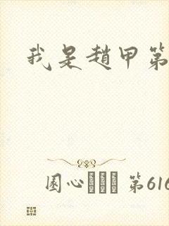 我是赵甲第小说