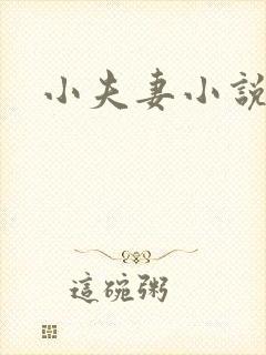 小夫妻小说
