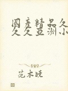 国产精品久久久久久亚洲小说