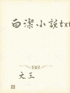 白洁小说txt