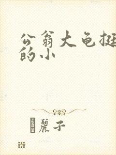 公翁大龟挺进我的小